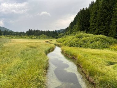 Doğal rezerv Zelenci - Sava Dolinka, Slovenya (Naturschutzgebiet Zelenci - die Quelle der Sava Dolinka, Slowenien) Naravni rezervat Zelenci - Izvir reke Save Dolinke