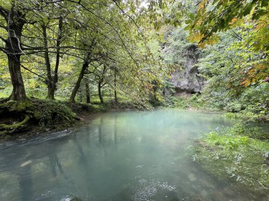 Ljubljanica nehrinin kaynağı veya Slovenya 'nın Ljubljanica kentinin kaynakları - Die Quelle des Flusses Ljubljanica oder die Quellen der Ljubljanica, Slowenien - Izviri Ljubljanice