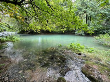 Ljubljanica nehrinin kaynağı veya Slovenya 'nın Ljubljanica kentinin kaynakları - Die Quelle des Flusses Ljubljanica oder die Quellen der Ljubljanica, Slowenien - Izviri Ljubljanice