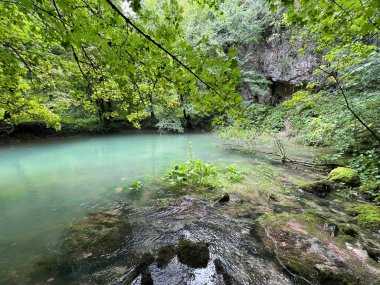 Ljubljanica nehrinin kaynağı veya Slovenya 'nın Ljubljanica kentinin kaynakları - Die Quelle des Flusses Ljubljanica oder die Quellen der Ljubljanica, Slowenien - Izviri Ljubljanice