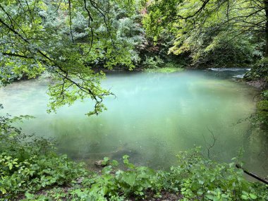Ljubljanica nehrinin kaynağı veya Slovenya 'nın Ljubljanica kentinin kaynakları - Die Quelle des Flusses Ljubljanica oder die Quellen der Ljubljanica, Slowenien - Izviri Ljubljanice