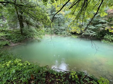Ljubljanica nehrinin kaynağı veya Slovenya 'nın Ljubljanica kentinin kaynakları - Die Quelle des Flusses Ljubljanica oder die Quellen der Ljubljanica, Slowenien - Izviri Ljubljanice