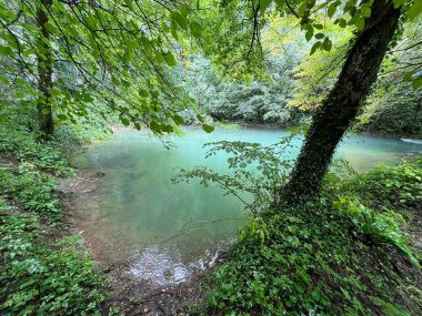 Ljubljanica nehrinin kaynağı veya Slovenya 'nın Ljubljanica kentinin kaynakları - Die Quelle des Flusses Ljubljanica oder die Quellen der Ljubljanica, Slowenien - Izviri Ljubljanice