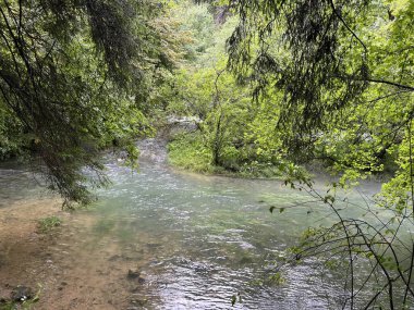 Ljubljanica nehrinin kaynağı veya Slovenya 'nın Ljubljanica kentinin kaynakları - Die Quelle des Flusses Ljubljanica oder die Quellen der Ljubljanica, Slowenien - Izviri Ljubljanice