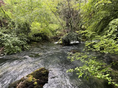Ljubljanica nehrinin kaynağı veya Slovenya 'nın Ljubljanica kentinin kaynakları - Die Quelle des Flusses Ljubljanica oder die Quellen der Ljubljanica, Slowenien - Izviri Ljubljanice, Slovenija