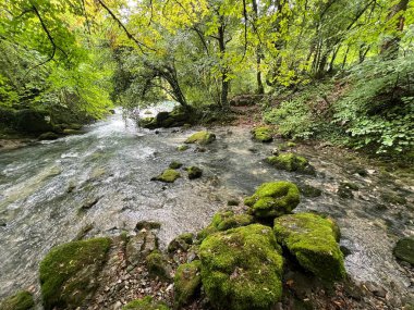 Ljubljanica nehrinin kaynağı veya Slovenya 'nın Ljubljanica kentinin kaynakları - Die Quelle des Flusses Ljubljanica oder die Quellen der Ljubljanica, Slowenien - Izviri Ljubljanice, Slovenija