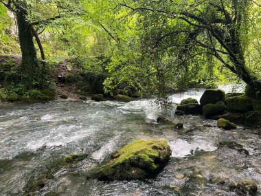 Ljubljanica nehrinin kaynağı veya Slovenya 'nın Ljubljanica kentinin kaynakları - Die Quelle des Flusses Ljubljanica oder die Quellen der Ljubljanica, Slowenien - Izviri Ljubljanice, Slovenija