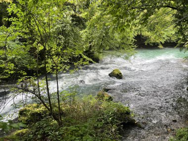 Ljubljanica nehrinin kaynağı veya Slovenya 'nın Ljubljanica kentinin kaynakları - Die Quelle des Flusses Ljubljanica oder die Quellen der Ljubljanica, Slowenien - Izviri Ljubljanice, Slovenija