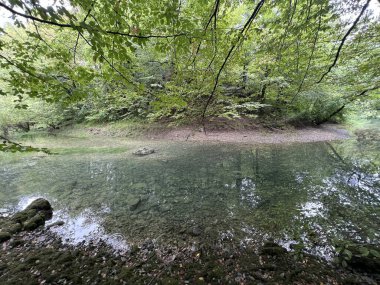 Ljubljanica nehrinin kaynağı veya Slovenya 'nın Ljubljanica kentinin kaynakları - Die Quelle des Flusses Ljubljanica oder die Quellen der Ljubljanica, Slowenien - Izviri Ljubljanice, Slovenija