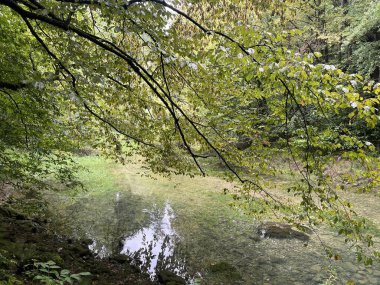 Ljubljanica nehrinin kaynağı veya Slovenya 'nın Ljubljanica kentinin kaynakları - Die Quelle des Flusses Ljubljanica oder die Quellen der Ljubljanica, Slowenien - Izviri Ljubljanice, Slovenija