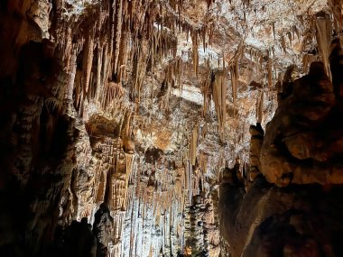 Divaca Mağarası, Slovenya - Die Hoehle von Divaca, Slowenien - Divaska jama, Slovenija - La grotta Divaca, Slovenya