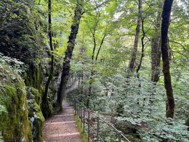 Skocjan Mağaraları Bölgesel Parkı, Slovenya (UNESCO Dünya Mirası) - Der Park Skocjan Hoehlen oder Hoehlen von Skocjan (UNESCO-Welterbe) - Park Skocjanske jame (UNESCO svetovna dediscina)