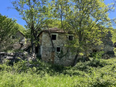 Eski terk edilmiş Stari Popovici (Knin, Hırvatistan) - Napusteni zaselak Stari Popovici ili Staro selo Popovici kod Knina (Biskupija, Hırvatistan))
