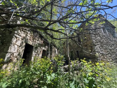 Eski terk edilmiş Stari Popovici (Knin, Hırvatistan) - Napusteni zaselak Stari Popovici ili Staro selo Popovici kod Knina (Biskupija, Hırvatistan))