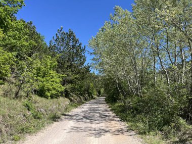 Krcic Kanyonu 'nda eğitim yürüyüşü patikası (Kayda değer Peyzaj 