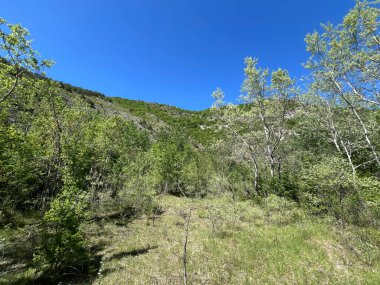 Krcic Kanyonu 'nda eğitim yürüyüşü patikası (Kayda değer Peyzaj 