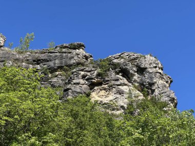Krcic Kanyonu 'nda eğitim yürüyüşü patikası (Kayda değer Peyzaj 