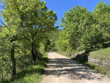 Krcic Kanyonu 'nda eğitim yürüyüşü patikası (Kayda değer Peyzaj 