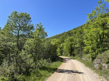 Krcic Kanyonu 'nda eğitim yürüyüşü patikası (Kayda değer Peyzaj 