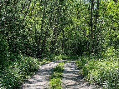 Rakitje veya Sveta Nedelja gölleri (Hırvatistan) - Staze za sport I rekreaciju uz umjetna jezera Rakitje (Hrvatska))