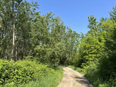 Rakitje veya Sveta Nedelja gölleri (Hırvatistan) - Staze za sport I rekreaciju uz umjetna jezera Rakitje (Hrvatska))