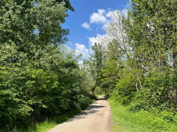 Rakitje veya Sveta Nedelja gölleri (Hırvatistan) - Staze za sport I rekreaciju uz umjetna jezera Rakitje (Hrvatska))