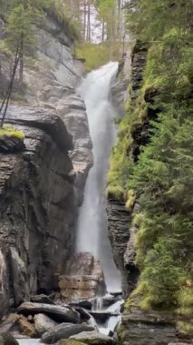 Rosenlauifall şelalesi Alp deresi Reichenbach, İsviçre Wasserfall Rosenlauifall am Alpenbach Reichenbach, Schweiz