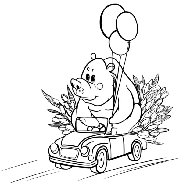 A bear rides in cars for a holiday with flowers and gifts, an idea for a card design for Valentine's Day, March 8, an illustration for coloring