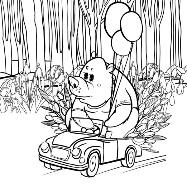 A bear in a car carries a bouquet of tulips for the holiday, a card for the eighth of March holiday, a coloring book for children