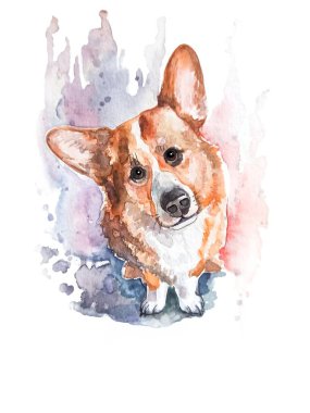 Dog, dog portrait, corgi breed, watercolor sketch, printable print
