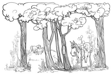 Peri ormanındaki bir açıklıkta midilliler otluyor, ormanda küçük atlar yürüyor, renkler için resimler, çocuklar için.