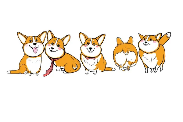 Niedlicher Corgi Rasse Kleiner Hunde Farbzeichnung Illustration Aufkleber — Stockfoto