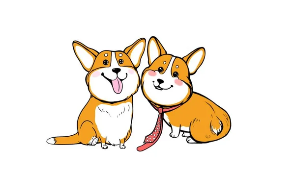 Cute corgi, breed of small dogs, color drawing, illustration, sticker