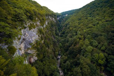 Okatse Kanyonu, kanyonun üzerinde yürüyüş yolu, yeşil orman, vahşi dağların güzel manzarası. Yaz günü. Georgia