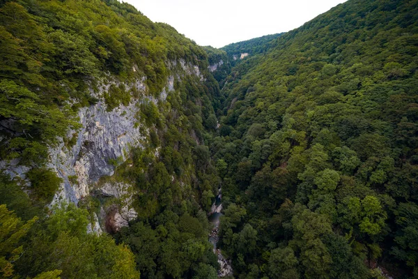 Okatse Canyon Sendero Sobre Cañón Bosque Verde Hermosa Vista Las —  Fotos de Stock