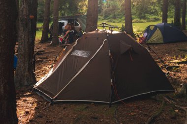 Ormanın üzerinde kahverengi bir turist çadırı güneşli bir yaz sabahında çam ağaçları duruyor. Ceset yok. Kamp ve turizm. Seyahat ve tatil.