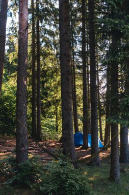 Vestibülü büyük mavi kamp çadırı. Uzun çamların arasında bir turist kampı. Çadırlar. Dağların arasında göl kıyısında. Karpat Dağları. Hamak. Dikey fotoğraf.