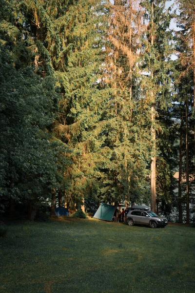 キャンプ 荒野でのキャンプ 車で旅行や観光 背の高い針葉樹の木の近くの車両 カルパチア山脈のテントやアクティブなレクリエーション — ストック写真
