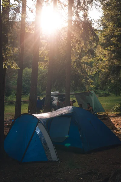 Big blue tent with vestibule. Warm sun rays. Tourist camp among tall pines. Camping in the wilderness. Vertical photo.