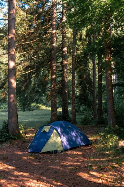 キャンプ用テント2人用 森の中の観光キャンプ 晴れた夏の朝 誰もいない 垂直写真 — ストック写真