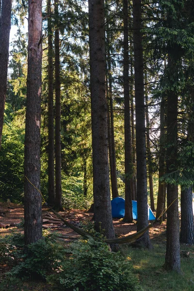 Grote Blauwe Campingtent Met Vestibule Toeristisch Kamp Tussen Hoge Dennen — Stockfoto