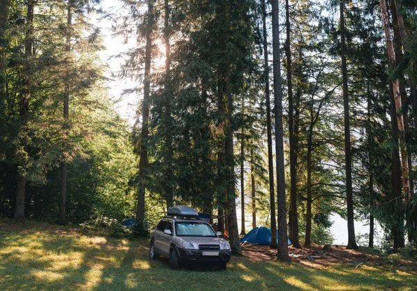 Camp Camping Wilderness Travel Tourism Suv Car Vehicle Tall Coniferous — Stock Photo, Image
