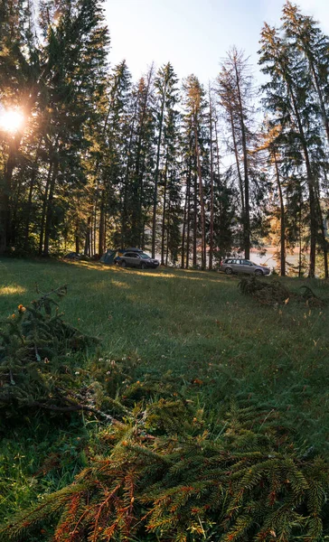 野外露营乘车旅行和旅游 车辆靠近高大的针叶树 喀尔巴阡山脉的帐篷和积极的娱乐活动 垂直照片 — 图库照片