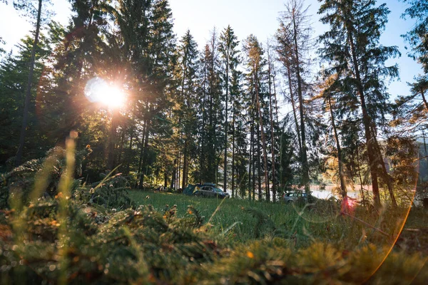 野外露营乘车旅行和旅游 车辆靠近高大的针叶树 喀尔巴阡山脉的帐篷和娱乐活动 — 图库照片