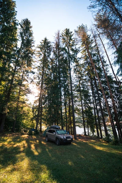 Camp Camping Wilderness Travel Tourism Car Vehicle Tall Coniferous Trees — Stock Photo, Image
