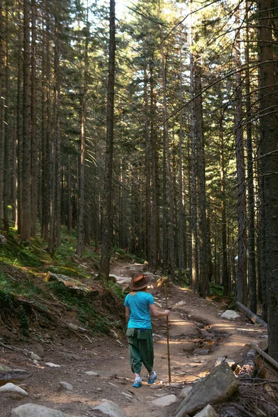 一个戴帽子的女人 拿着棍子 走在通往乌克兰喀尔巴阡山的高大云杉之间 针叶林 夏日散步 垂直的照片 背景色 — 图库照片
