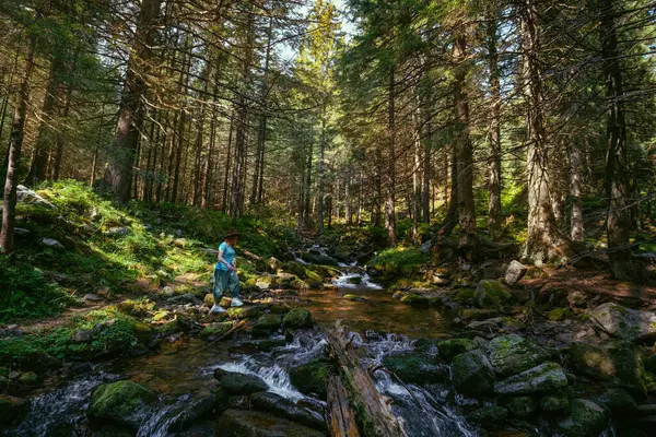 一个女人探索世界上新的 神奇的 奇妙的 被大自然环绕的地方 女徒步旅行者过河 针叶林 高大的喀尔巴阡山脉云杉 — 图库照片