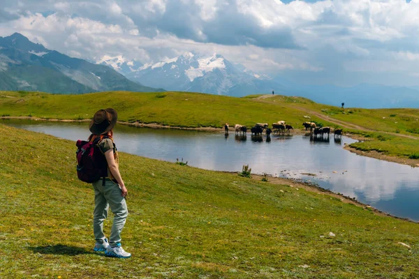 Una Turista Junto Lago Alta Montaña Que Pastan Las Vacas —  Fotos de Stock