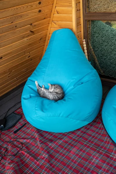 The cat is resting, sleeping well. A bag chair, a pear, stands on the terrace of a wooden house. The concept of rest and furniture. Vertical photo
