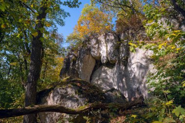 Ukrayna 'nın Sataniv, Khmelnytskyi bölgesindeki antik kaya mağarası manastırı. Dağın tepesinde, geçmişte bir pagan tapınağı, bir hac mekanı. Büyük ahşap bir haç. Yürüyüşçü oturur ve dinlenir.